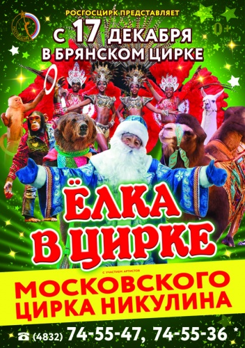 Новогоднее представление в Брянском цирке! Новогоднее представление в Брянском цирке!